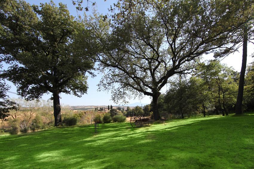 Agriturismo Torrenieri Da Alessandro Pienza Exteriér fotografie