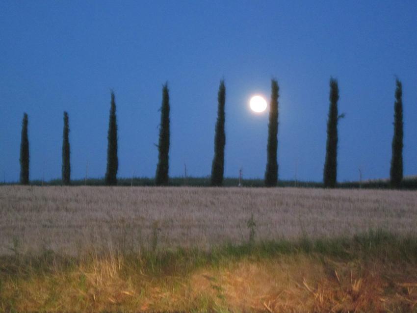 Agriturismo Torrenieri Da Alessandro Pienza Exteriér fotografie