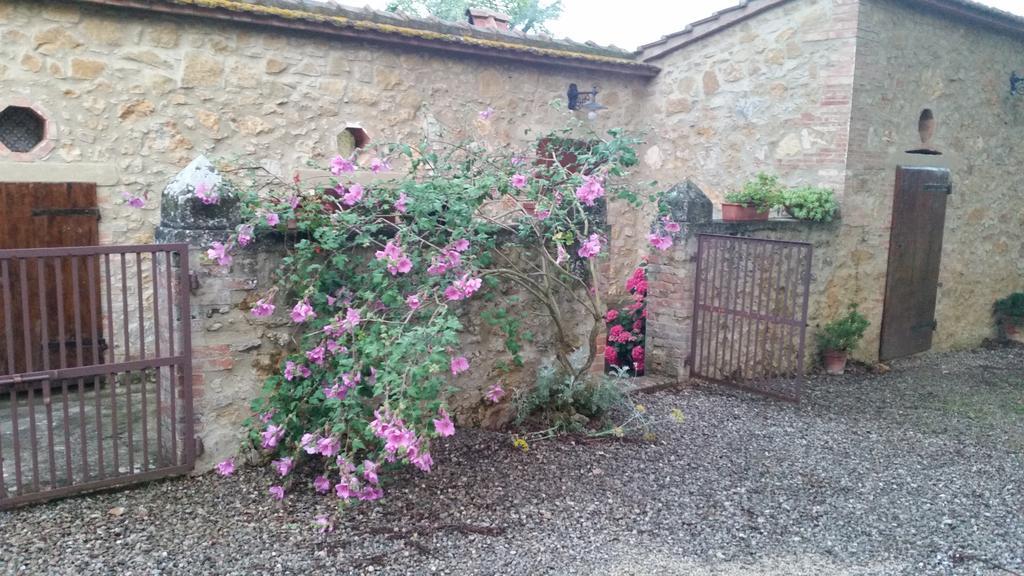 Agriturismo Torrenieri Da Alessandro Pienza Exteriér fotografie