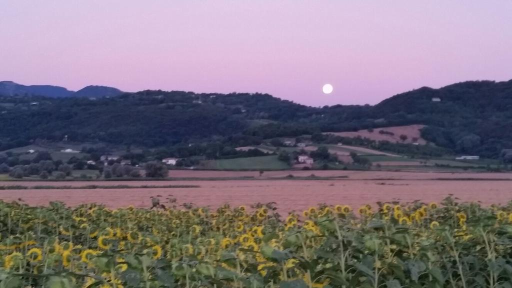Agriturismo Torrenieri Da Alessandro Pienza Exteriér fotografie